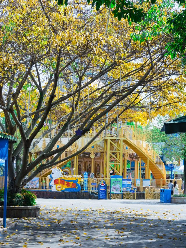 成都！免費入園的寶藏遊樂園，後悔知道太遲了