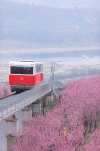 重慶·開往春天的纜車