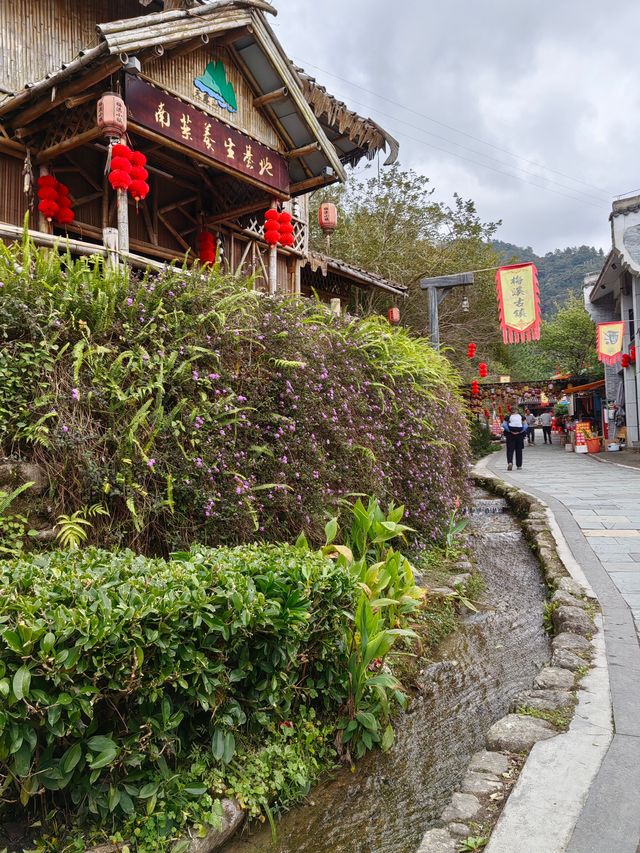 非常適合帶家人來的天露山