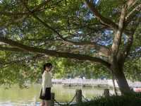 南寧市人民公園，現實版的綠野仙蹤！拍照打卡超出片！