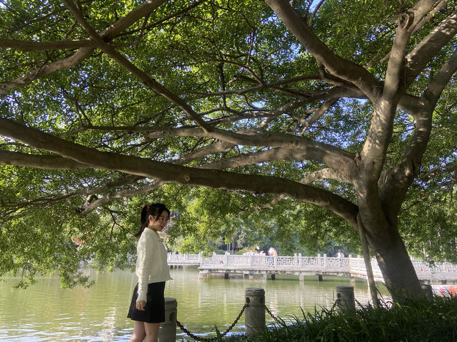 南寧市人民公園，現實版的綠野仙蹤！拍照打卡超出片！