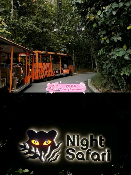 Singapore's Night Safari is Wonderful 🇸🇬