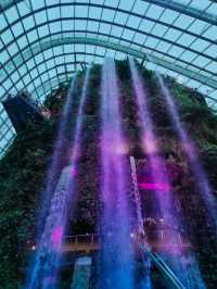 Mind-blowing Cloud Forest Singapore 🇸🇬