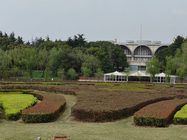 東方綠洲