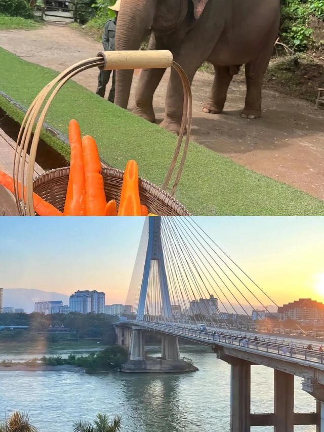 西雙版納•不可錯過的熱帶雨林探秘之旅 西雙版納•不可錯過的熱帶雨林探秘之旅