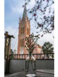 Ho Chi Minh City Pink Church Vietnam 🇻🇳❤️