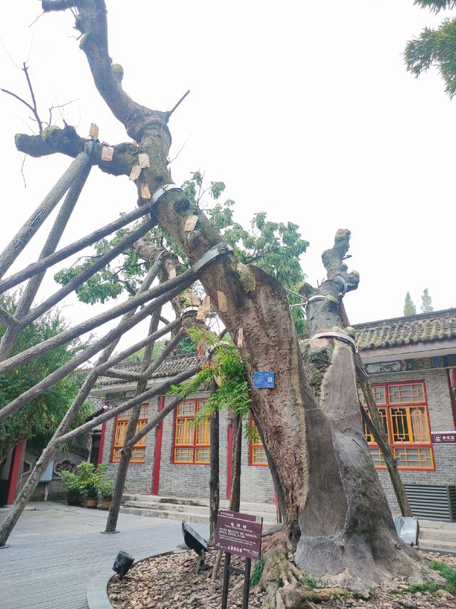 擁有悠久歷史的古漢台景區一日遊