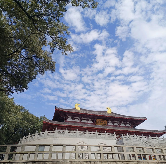 安徽合肥推薦打卡地紫蓬山國家森林公園