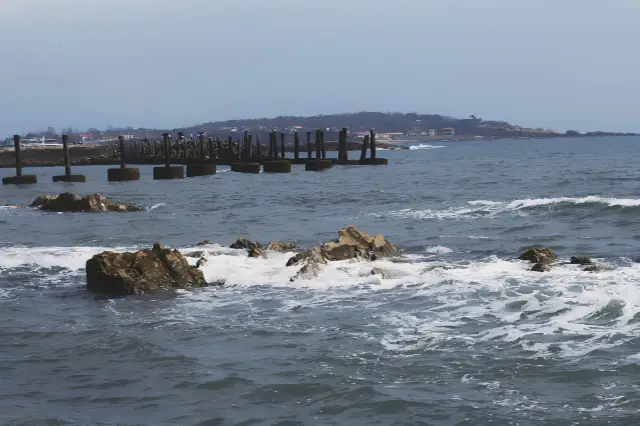 청도 여행 가이드: 해변, 맥주, 해산물, 하나도 빠질 수 없어!