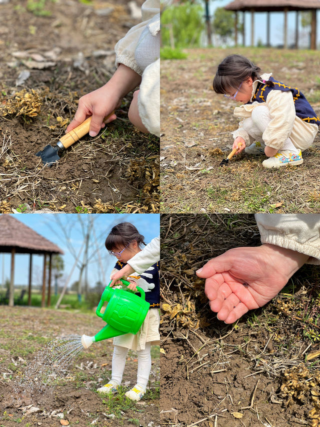 在這個有風的季節,去一次崇明島吧吧! 在這個有風的季節,去一次崇明島吧吧!