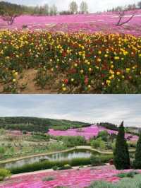 在大連，有一處宛如仙境的地方——英歌石植物園