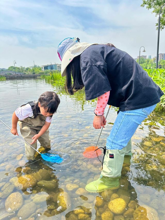 成都遛娃｜捞鱼、摸虾、玩水寶藏公園||