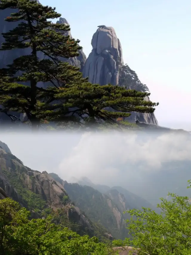 Explore the Mysteries of Huangshan! A stunning travel guide is here