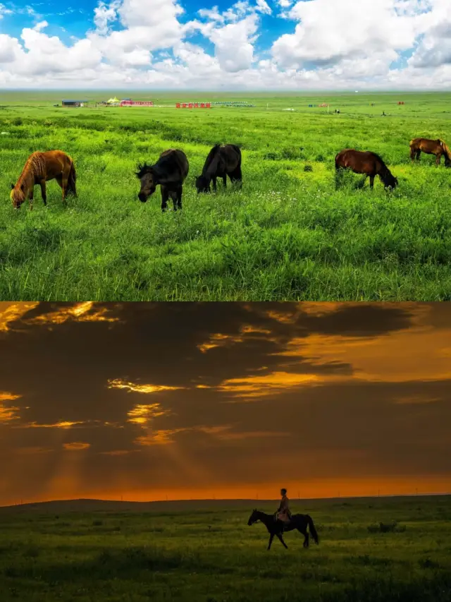 Ordos Grassland