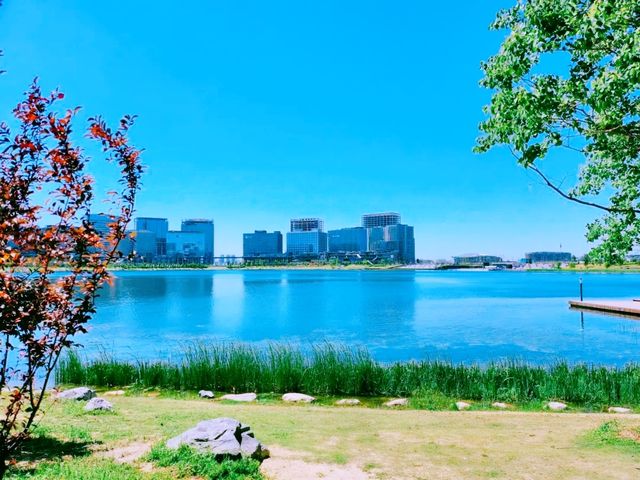 納涼旅行首選之地，不僅有夏日風情更有城市的繁華親近大自然美景