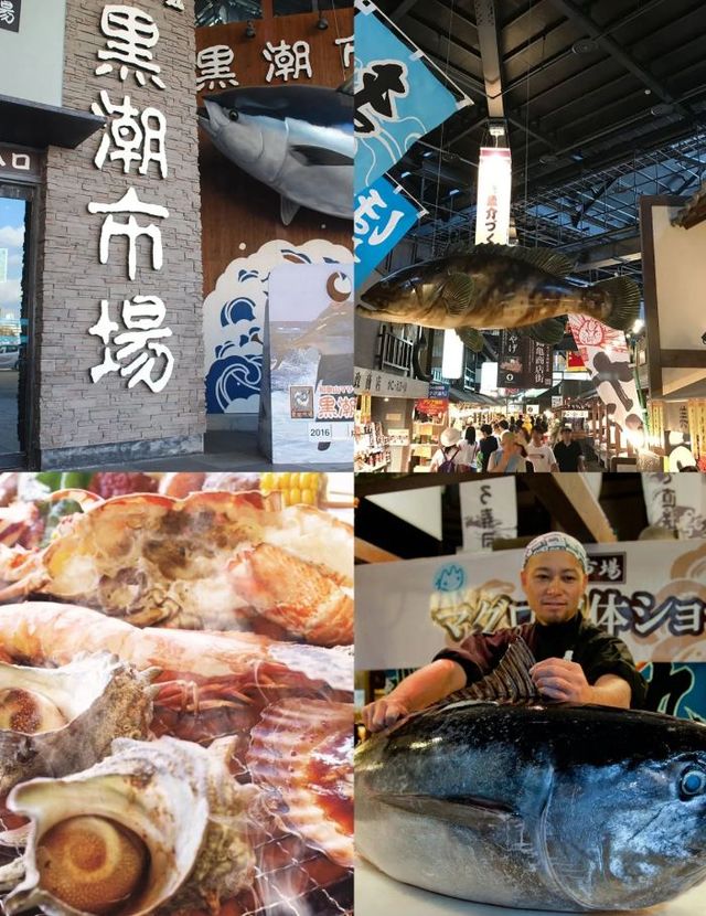 大阪出發和歌山一日遊，路線推薦~收藏。