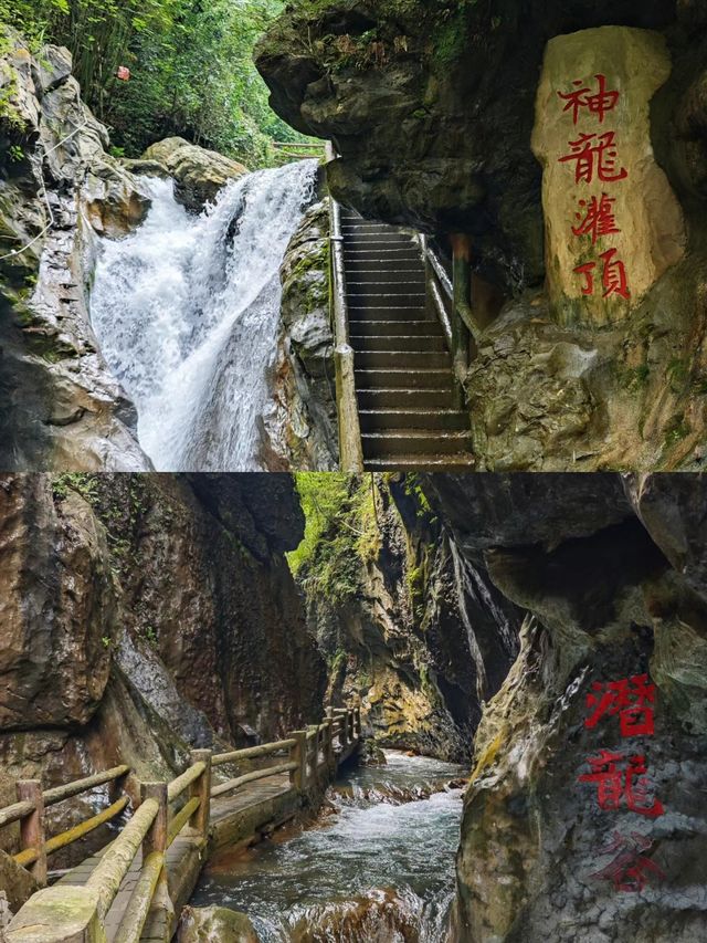 重慶主城當天往返避暑勝地!