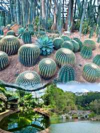 惠州植物園，一個充滿浪漫與探索的樂園！