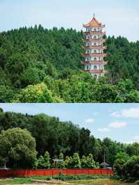 樂至報國寺一-佛在石中