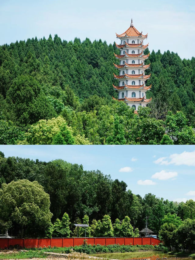 樂至報國寺一-佛在石中