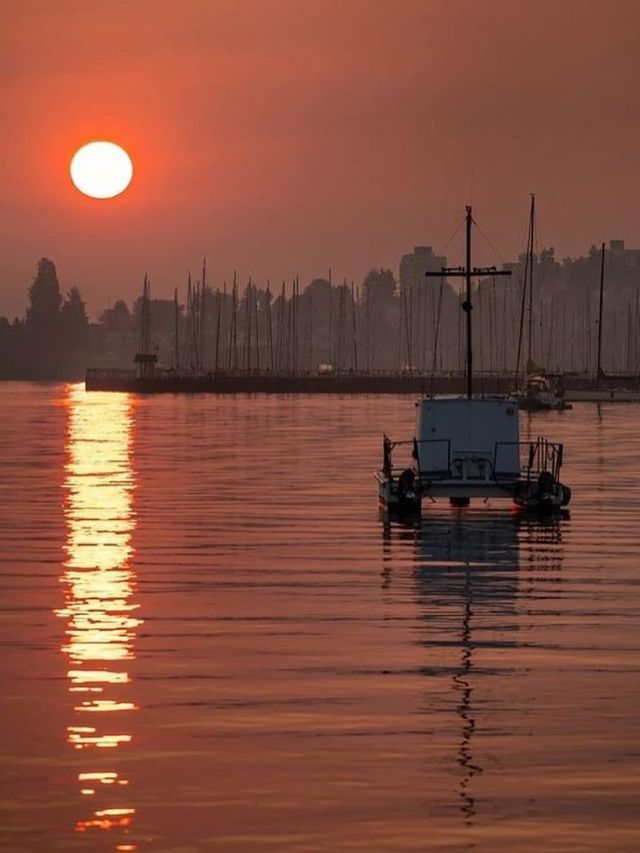 Vancouver's Skyline: A Symphony of Nature and Urbanity 🌇✨