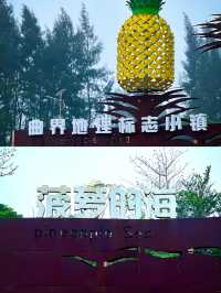 歡迎來我的家鄉玩|徐聞菠蘿的海