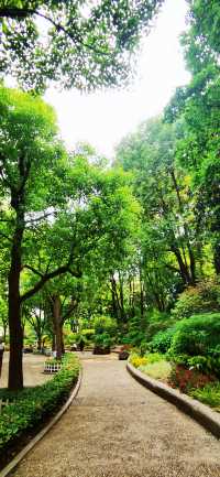 長壽公園：普陀人家門口的“清涼世界”