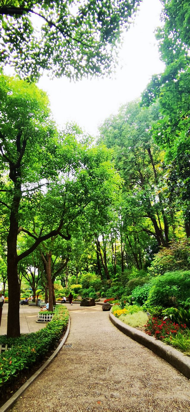 長壽公園：普陀人家門口的“清涼世界”