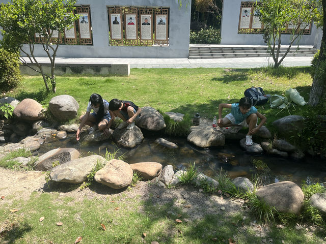 夏日荷花別樣紅，相約在永康香樟公園看荷