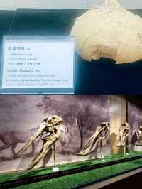 小縣城裡的國家二級博物館
