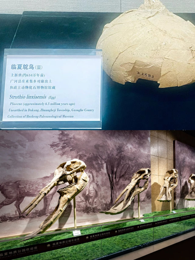 小縣城裡的國家二級博物館