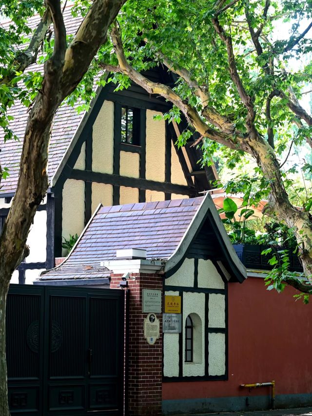 很難對這個季節的新华路說愛你 很難對這個季節的新华路說愛你