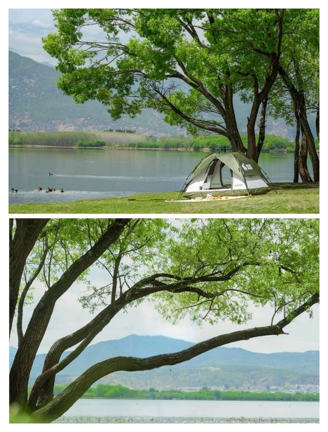 大理即將爆火的小眾旅行地
