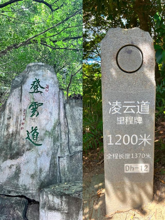 鐵直達深圳梧桐山！去爬山看這篇就夠啦|||