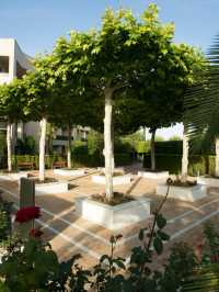 🌟 Greek Getaway: Unwind at Pomegranate Wellness Spa 🏖️🍹