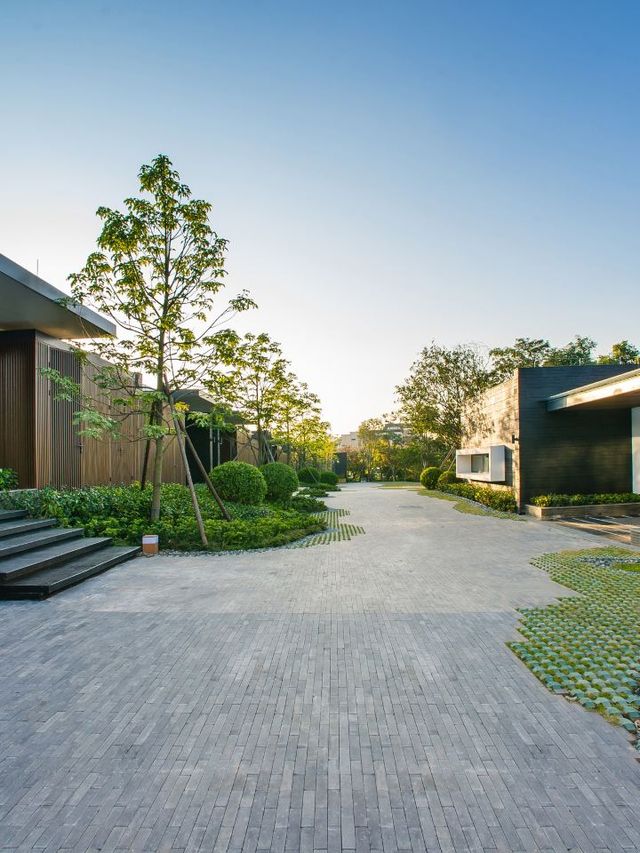 🌟 Shenzhen Staycation Oasis: Family Fun & Foodie Delights 🌟