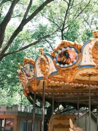 慈溪峙山公園|出太陽啦快出門玩吧~