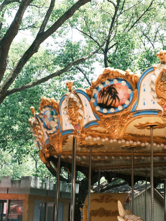 慈溪峙山公園|出太陽啦快出門玩吧~