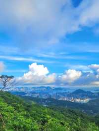 【香港大帽山】浪漫山谷綠意🏖️，城市中的宮崎駿漫畫夢幻景點！🌿🌄🌌