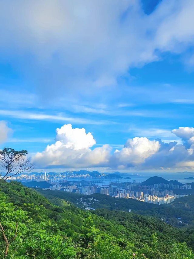 【香港大帽山】浪漫山谷綠意🏖️，城市中的宮崎駿漫畫夢幻景點！🌿🌄🌌