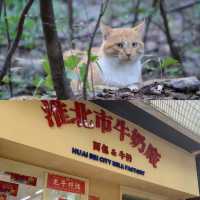 溜達好去處～淮北相山打卡