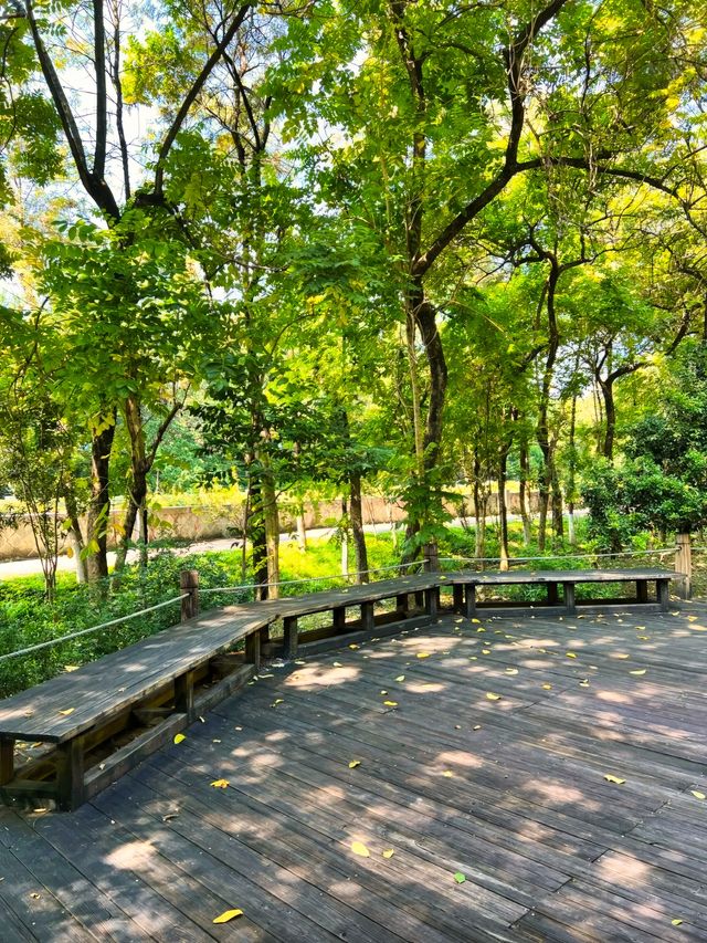 地鐵直達丨INFJ推薦丨廣州6號線上的小眾公園