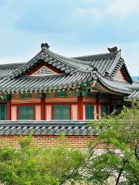 A glimpse of Korea’s majestic heritage • Walking in the footsteps of Kings and Queens🤴👸