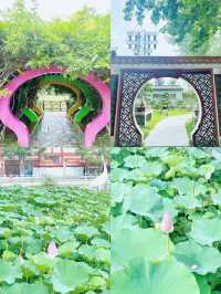 漯河-▻神州鳥園