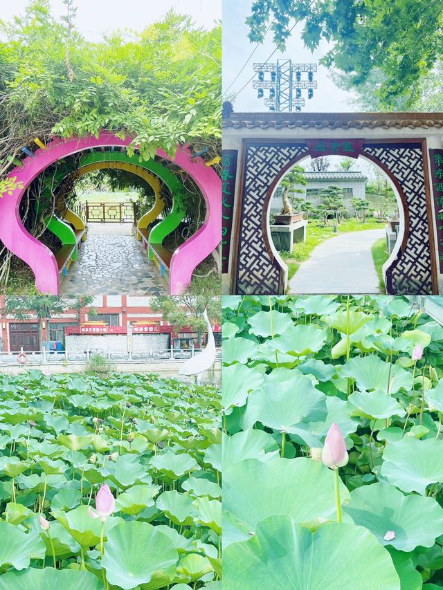 漯河-▻神州鳥園