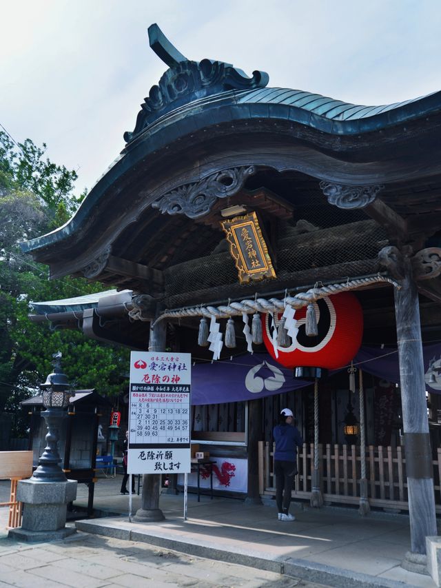 福岡半日Citywalk，不要錯過這條絕美海岸路線