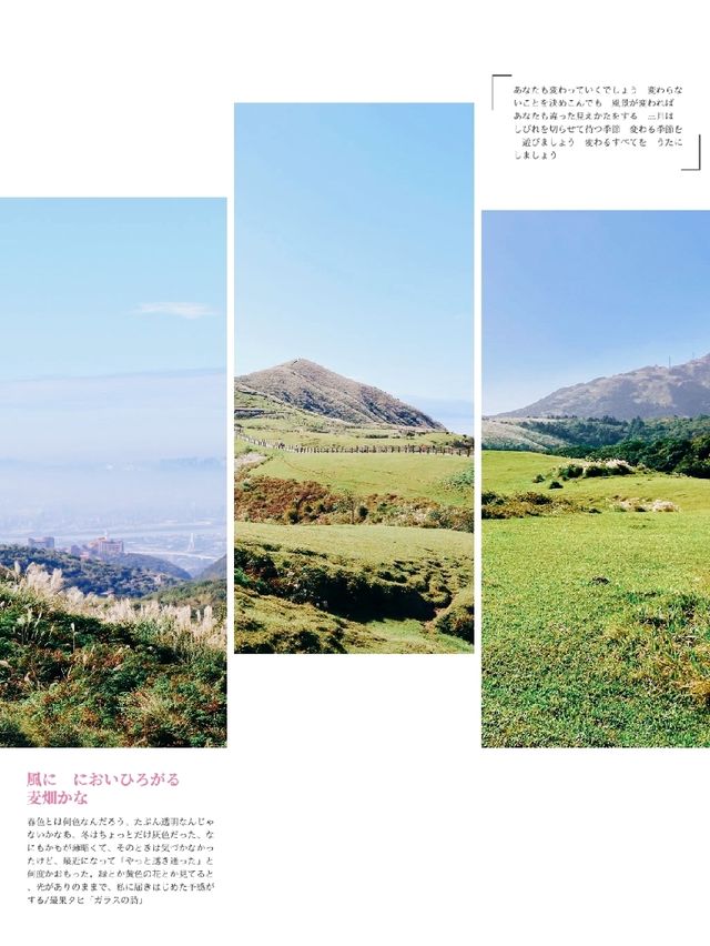 擎天崗：大自然韻律，難忘郊遊之旅