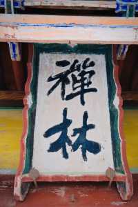 如果說古樹是南郭寺的根，那杜詩就是南郭寺的魂。