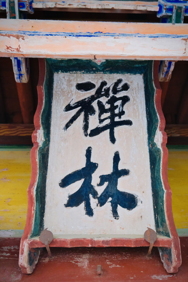 如果說古樹是南郭寺的根，那杜詩就是南郭寺的魂。