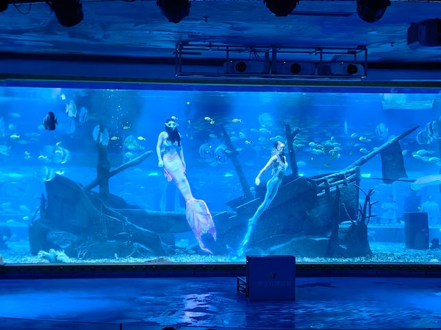 東莞又一個帶小朋友好去處"海立方環遊城"。